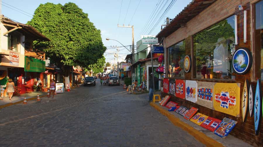 Natal: South Coast Day Tour by 4X4 with Pickup - The world’s largest cashew tree: shade, scale, and a needed pause