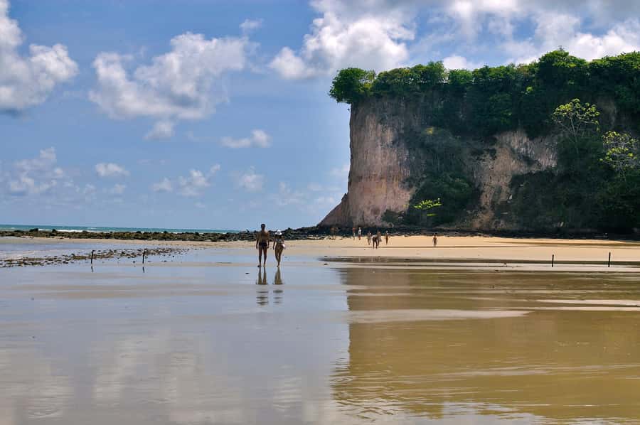 Natal: South Coast Day Tour by 4X4 with Pickup - Price and value: what $55 buys you in the real world