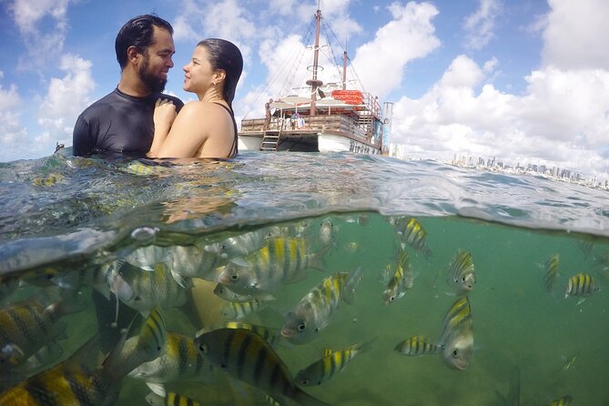 Natural Pools of Picãozinho - Emb. Pirate - Picãozinho natural pools: warm water and real marine life