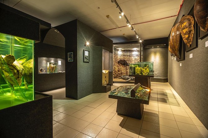 Official Ticket: Oceanographic Museum Univali - Piçarras - SC - Key things to notice before you go