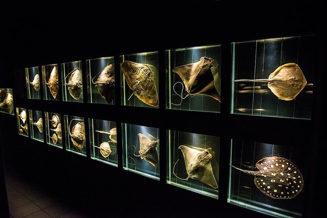 Official Ticket: Oceanographic Museum Univali - Piçarras - SC - Planning your 1.0 to 1.5 hour museum loop in Piçarras