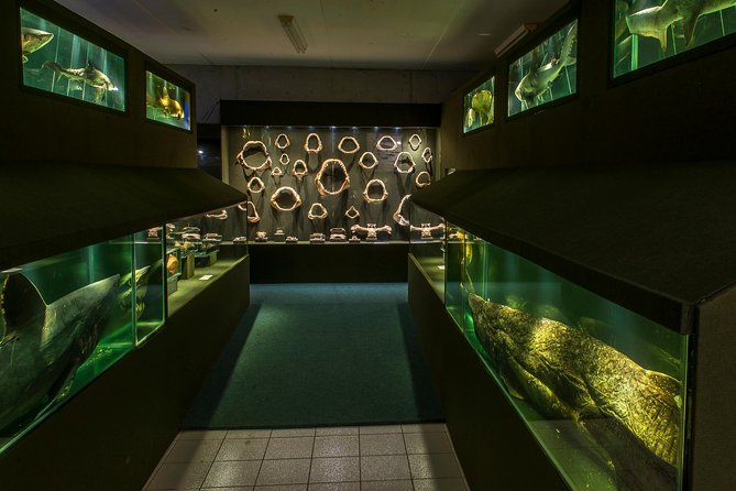 Official Ticket: Oceanographic Museum Univali - Piçarras - SC - The museum’s seven wings: a practical guide to what to look for