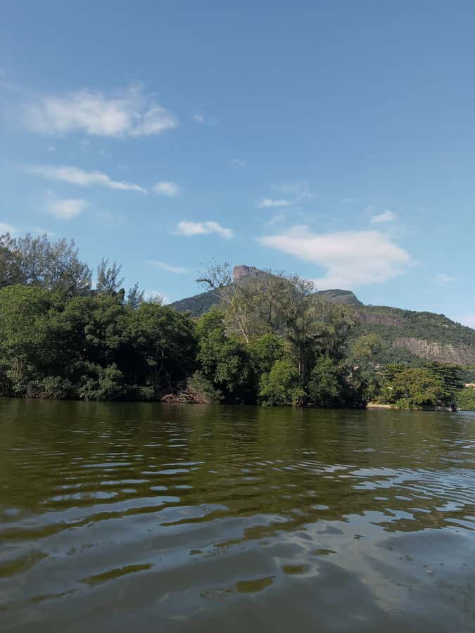 Pantanal of Rio de Janeiro - Finding the tour fast at Jardim Oceanico Station