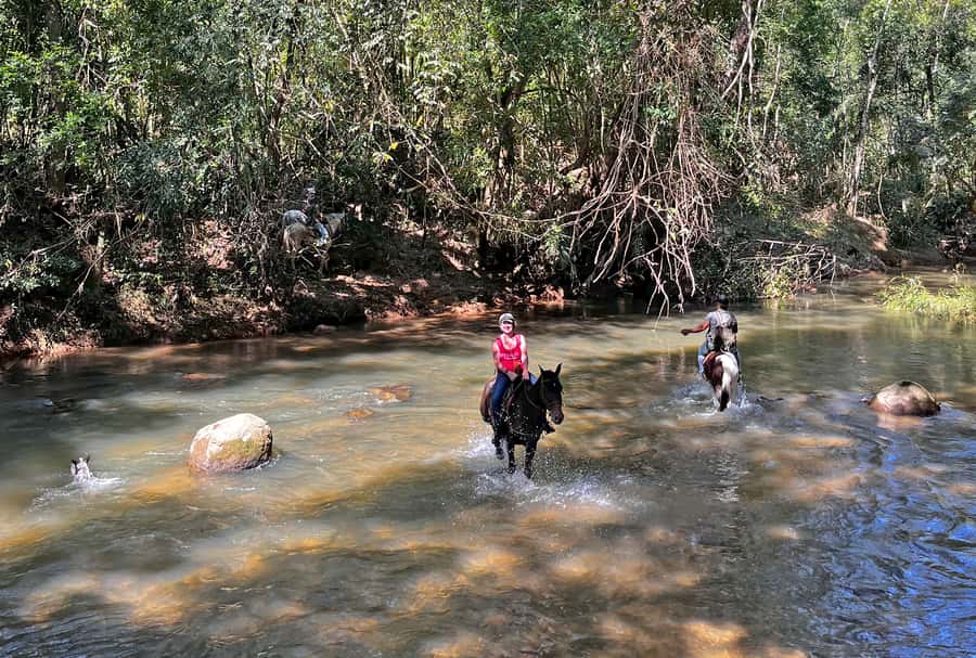 Paraty: 3-Hour Rainforest Horseback Ride - Quick takeaways before you ride