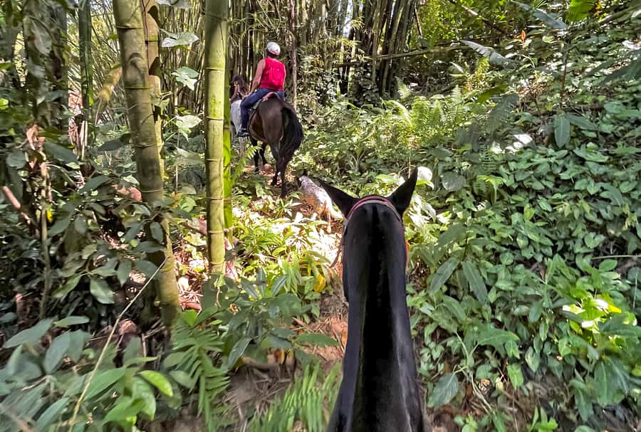 Paraty: 3-Hour Rainforest Horseback Ride - What to bring for a comfortable ride