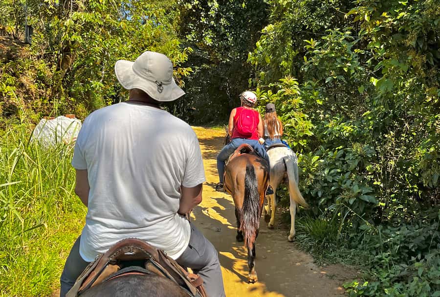 Paraty: 3-Hour Rainforest Horseback Ride - The 3-hour flow: trails, stops, and how the pacing works