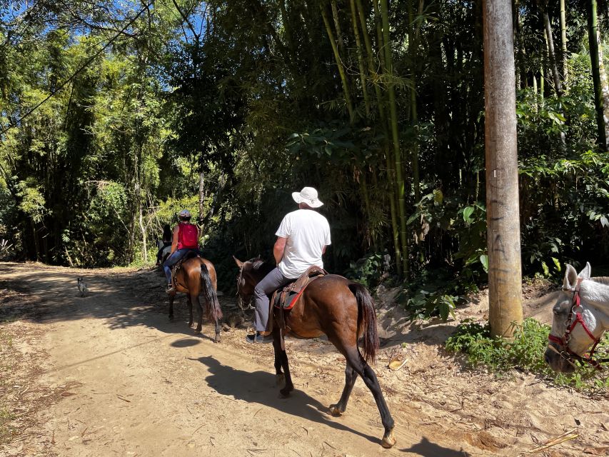 Paraty: 3-Hour Rainforest Horseback Ride - Serra da Bocaina National Park riding: Atlantic Forest scenery you can feel