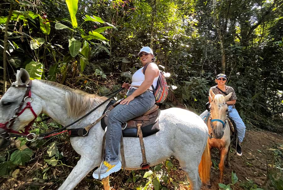 Paraty: 3-Hour Rainforest Horseback Ride - Waterfalls and bathing stops: fun, but bring the right mindset