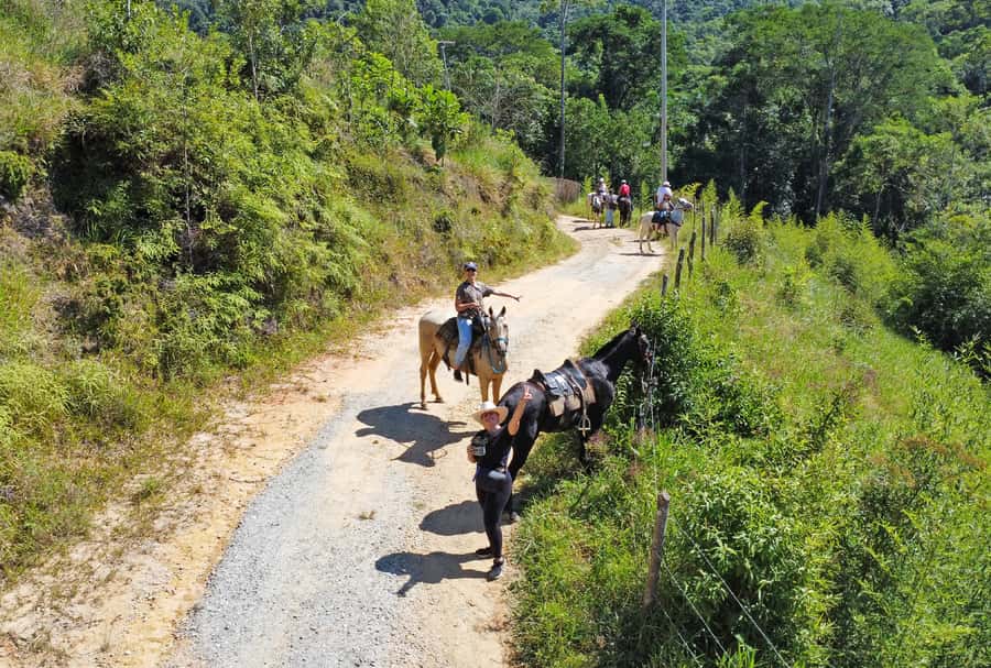 Paraty: 3-Hour Rainforest Horseback Ride - Lookouts over Paraty and Paraty Bay: the big “wow” payoff