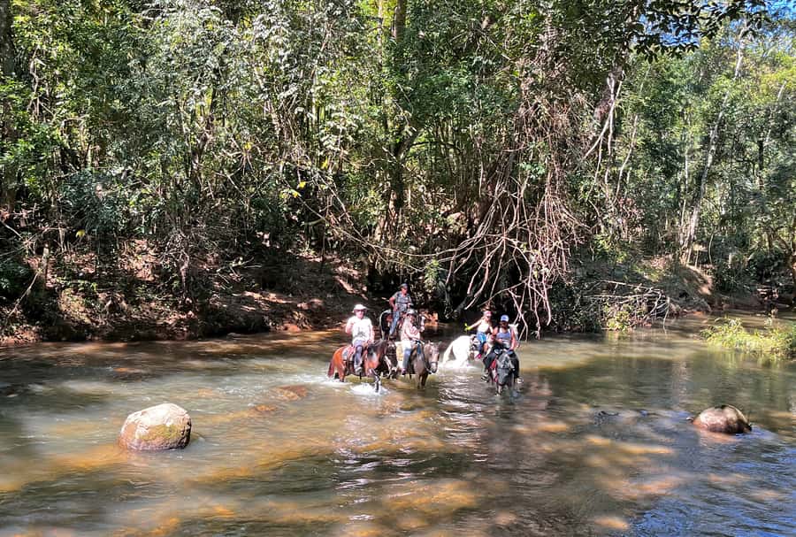 Paraty: 3-Hour Rainforest Horseback Ride - Price and value: is $120 per person worth it?