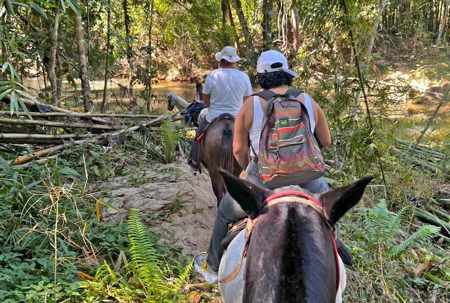 Paraty: 3-Hour Rainforest Horseback Ride - Who this ride fits best, and who should skip it