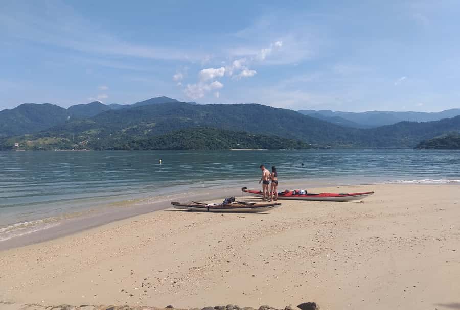 Paraty Bay: Half-Day Mangroves and Beaches Tour by Kayak - Mangroves and red crabs, when the tide lets you in
