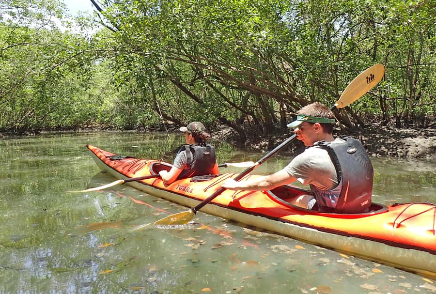 Paraty Bay: Half-Day Mangroves and Beaches Tour by Kayak - The flat-water paddle between islands you will actually enjoy