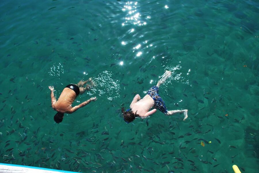 Paraty Bay: Islands & Beaches Boat Tour with Snorkeling - Price value: what $22 really buys you for 5 hours