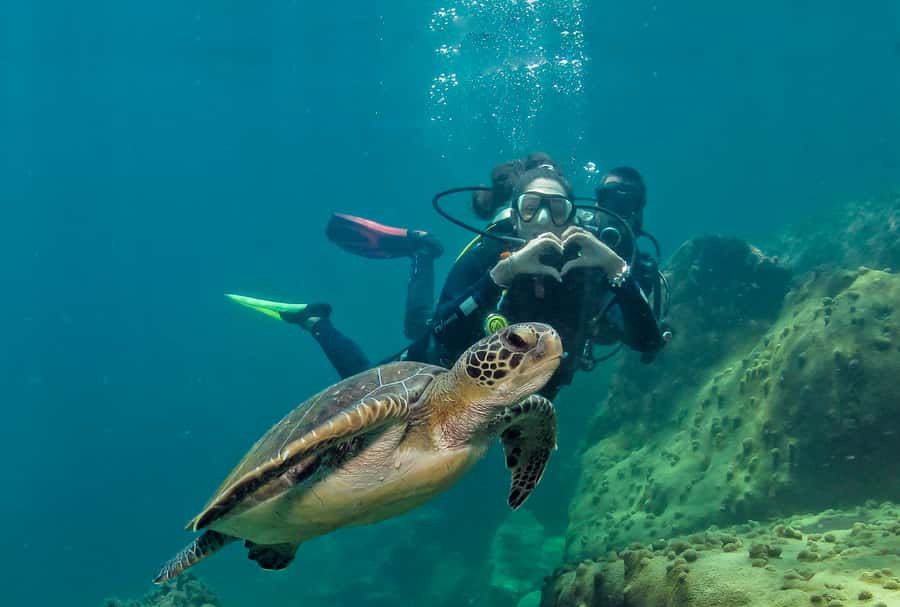 Paraty: Discovery Scuba Diving Experience for Beginners - Key Points I’d Bet On