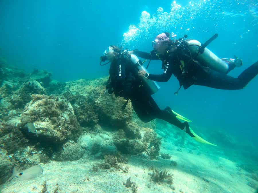Paraty: Discovery Scuba Diving Experience for Beginners - Depth Range and What That Means for Your Body