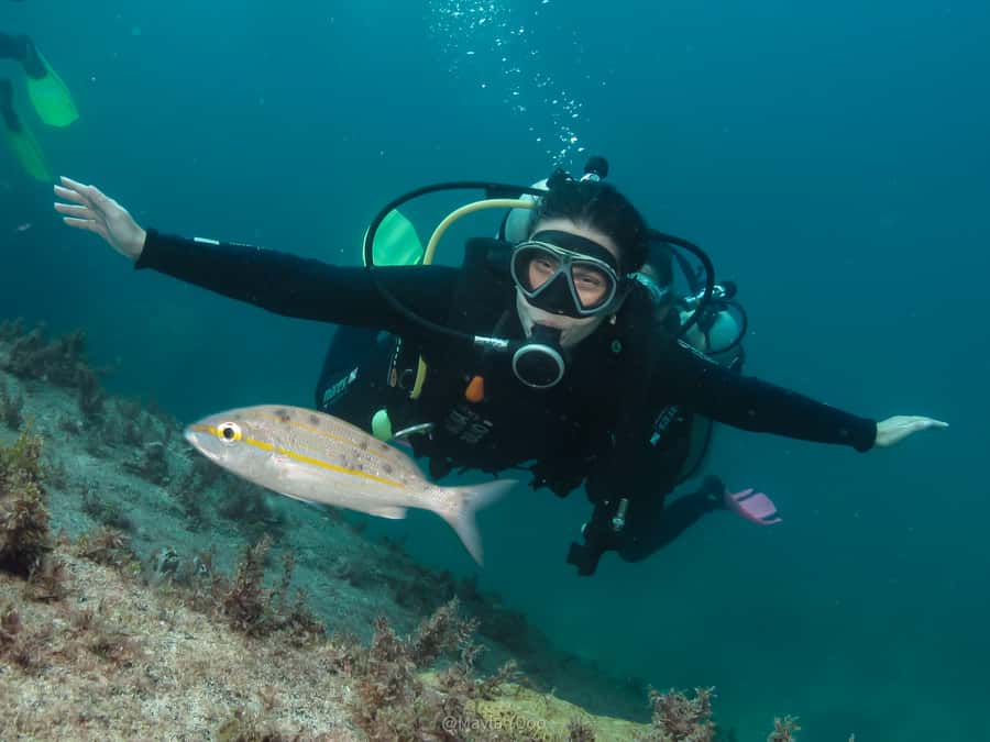 Paraty: Discovery Scuba Diving Experience for Beginners - Boat Ride Safety Briefing: The Part That Actually Determines Comfort