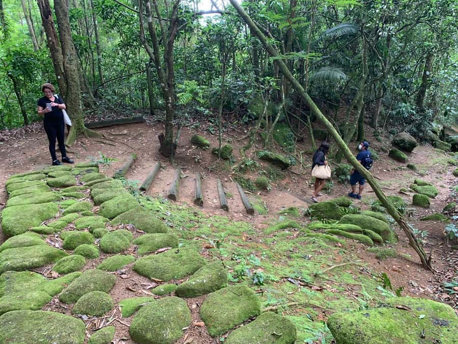 Paraty: Gold Trail Rainforest Hiking Tour - Who should book this Gold Trail rainforest tour