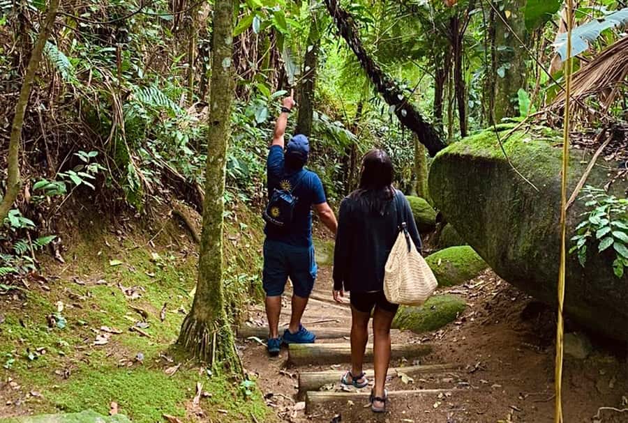 Paraty: Gold Trail Rainforest Hiking Tour - The 3.6 km hike along the old Gold Trail route