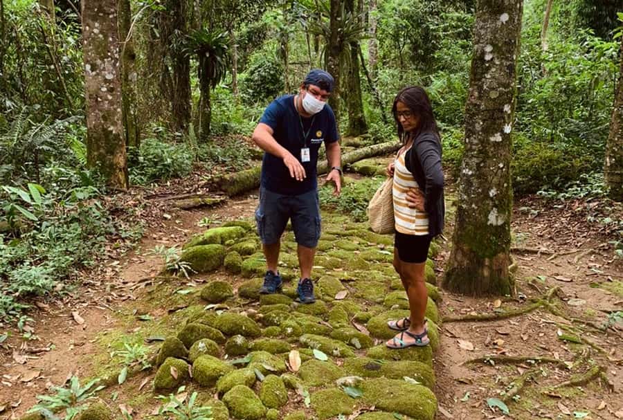 Paraty: Gold Trail Rainforest Hiking Tour - Atlantic Forest nature, and why your guide’s focus matters