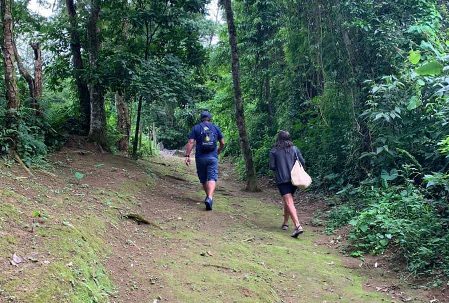 Paraty: Gold Trail Rainforest Hiking Tour - Optional Tobogã Waterfall and Engenho do DOuro after the hike