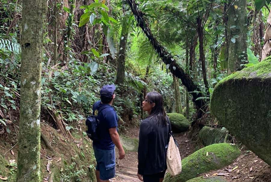 Paraty: Gold Trail Rainforest Hiking Tour - Price and logistics: what you really get for about $75