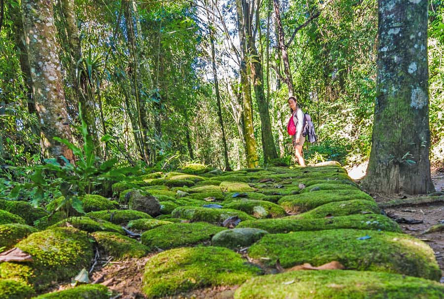 Paraty: Gold Trail Rainforest Hiking Tour - Meeting at Paraty Tours and taking the public bus to the trail start