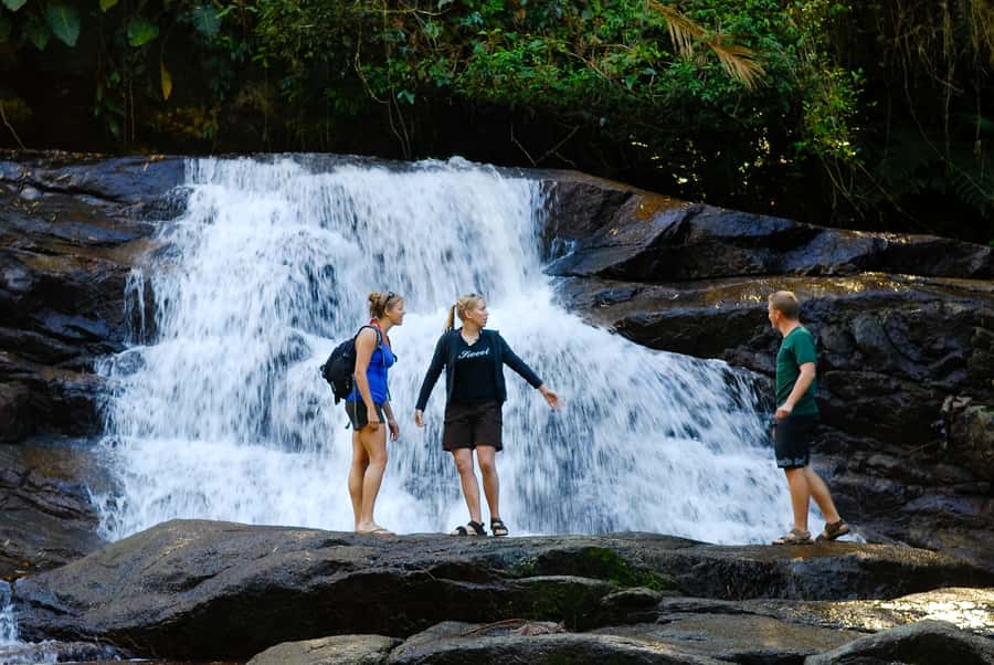 Paraty: Jungle Waterfalls and Cachaça Distillery Jeep Tour - The 4x4 jeep ride into Serra da Bocaina