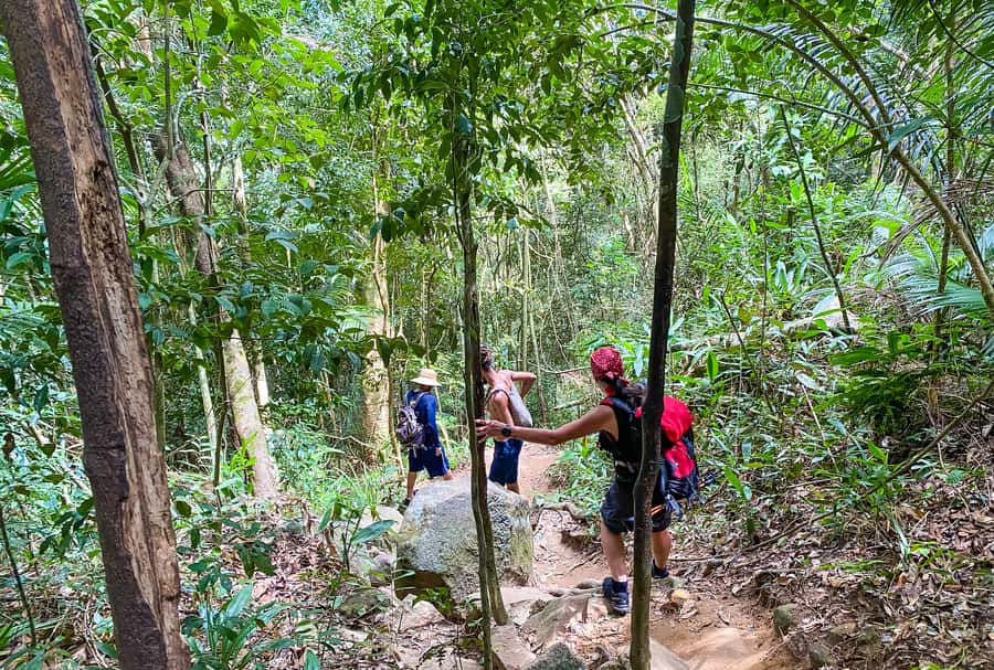 Paraty: Pão de Açucar Peak Trekking and Hiking Tour - Hike the 466-meter ascent: what to expect on Sugarloaf Mountain