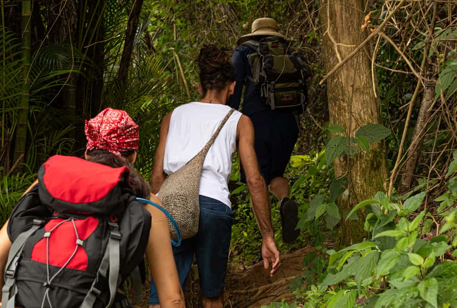 Paraty: Pão de Açucar Peak Trekking and Hiking Tour - Timing and meeting point: what can trip you up