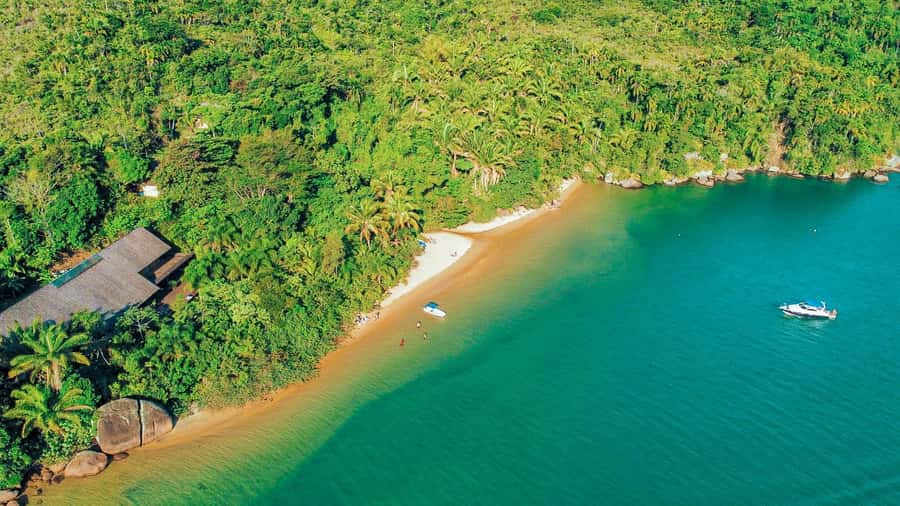 Paraty: Saco do Mamanguá Speedboat Tour - Key Things to Know Before You Go