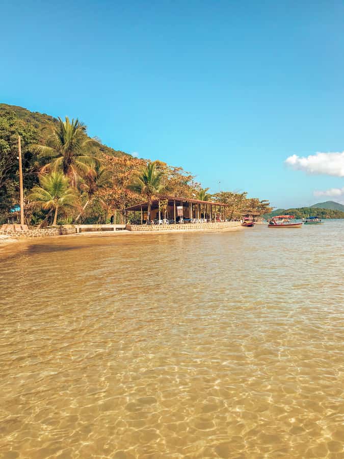 Paraty: Saco do Mamanguá Speedboat Tour - Price and Value: Is $49 a Good Deal for This Paraty Speedboat Day?