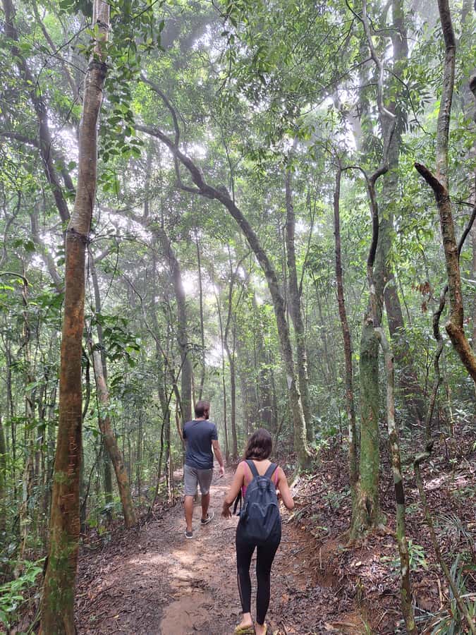 Pedra Bonita Trail: The easiest trail with a beautiful view of Rio - Pedra Bonita Trail: easy climb, big Rio views in a short day