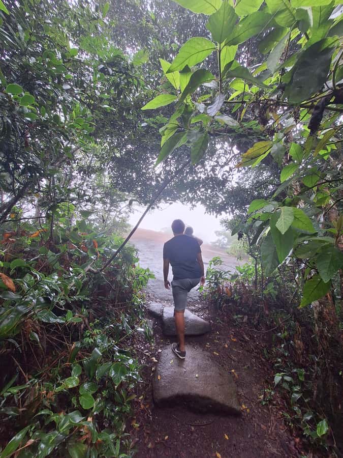 Pedra Bonita Trail: The easiest trail with a beautiful view of Rio - Getting there without the headache: transfer rules and the early bus stop