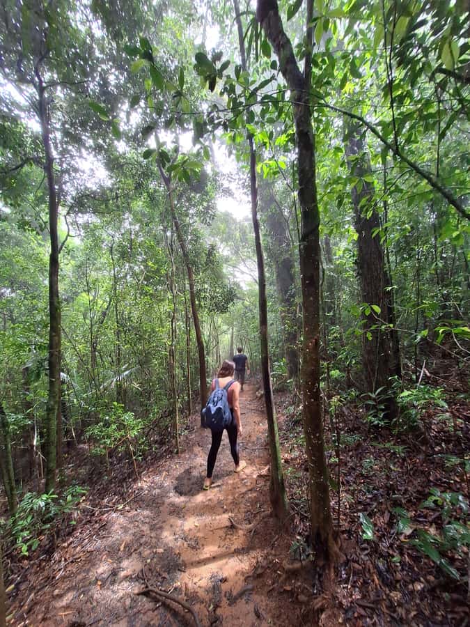 Pedra Bonita Trail: The easiest trail with a beautiful view of Rio - What to bring for comfort, sun, and insects