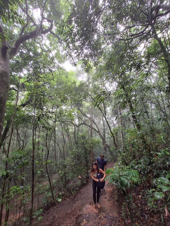 Pedra Bonita Trail: The easiest trail with a beautiful view of Rio - Who this Pedra Bonita walk is perfect for