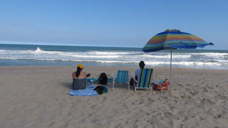 Pedra do Telégrafo Hike and Beach Full-Day Tour - The Summit Moment: Restinga da Marambaia and wild Rio beaches in one view
