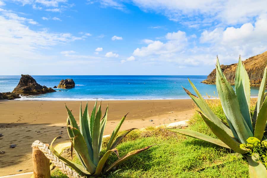 Pedra do Telégrafo Hike and Beach Full-Day Tour - What to Bring, What Not to Bring, and How to Stay Comfortable