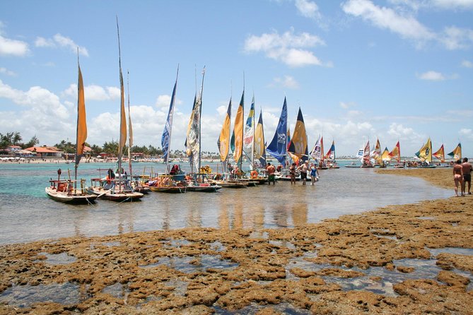 Porto de Galinhas Tour from Maragogi by Costazul Turismo - Hotel-to-hotel comfort and why it matters for this route