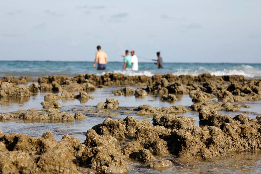 Porto Galinhas Full Day Tour - Porto de Galinhas in One Day: Why This Beach Sells Out