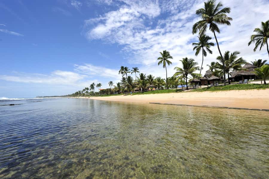 Porto Galinhas Full Day Tour - From Recife to Porto de Galinhas: Transportation and What to Expect During the Ride