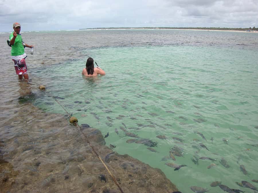 Porto Galinhas Full Day Tour - What You Eat and What You Should Pack for a Full Sun Day