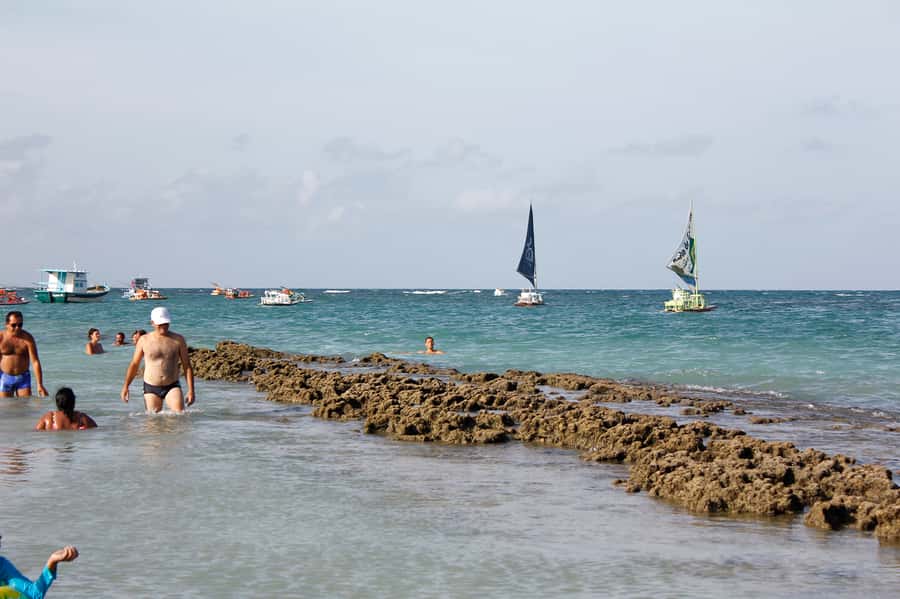 Porto Galinhas Full Day Tour - Swimming With Tropical Fish in the South Atlantic: The Part You’ll Remember