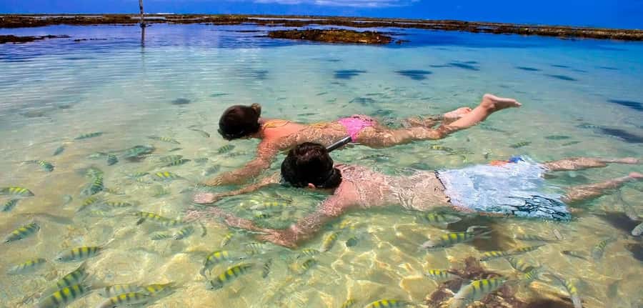 Praia de Paripueira Beach Day Tour - Key Things That Make This Tour Worth a Look