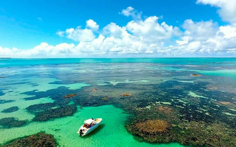 Praia de Paripueira Beach Day Tour - Calm Water, Coral Coasts, and a Beach Day That Actually Paces Well