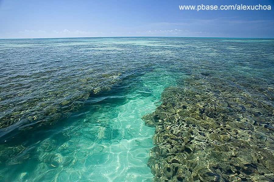 Praia de Paripueira Beach Day Tour - Paripueira Beach Time: Clear Shallows and Tropical Fish
