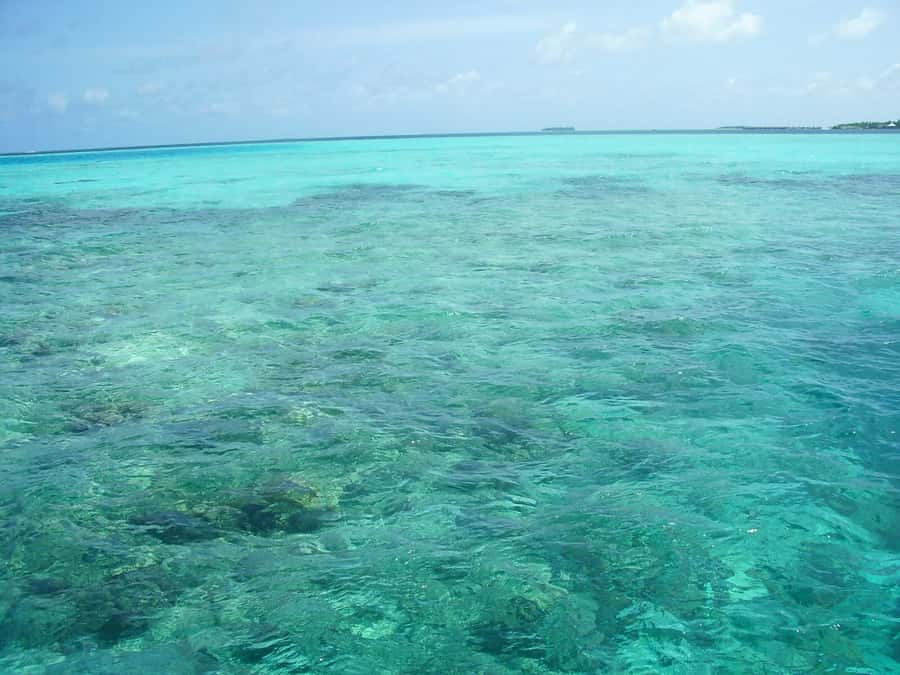 Praia de Paripueira Beach Day Tour - Scuba Diving Mentioned for the Adventurous