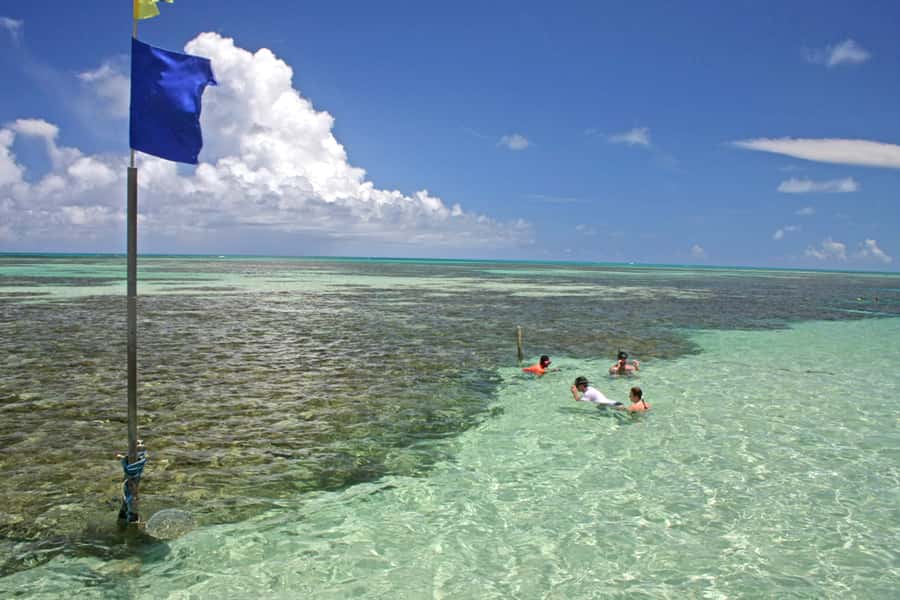 Praia de Paripueira Beach Day Tour - Food, Drinks, and the Real Cost of a 7-Hour Beach Day