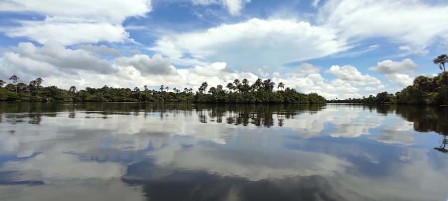 Preguicas River Speedboat Tour - Group Flow, Pace, and Safety on a 5-Hour Trip