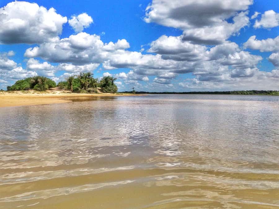 Preguicas River Speedboat Tour - Speedboat Time on the Preguiças River: Views You Cannot Get by Land